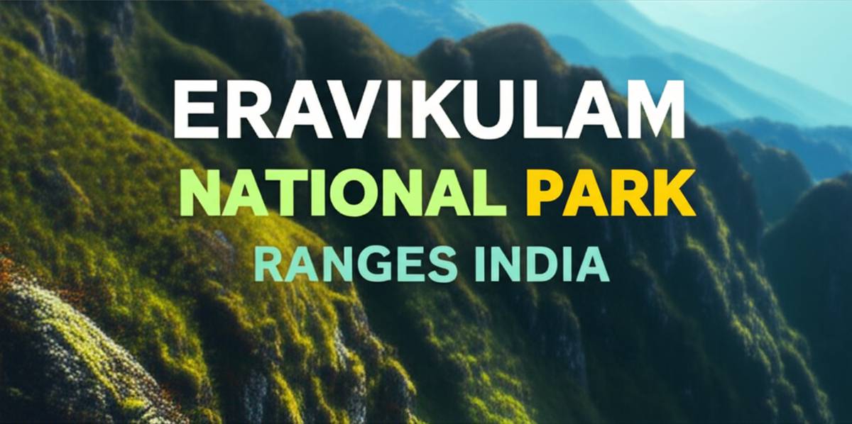 دامنه های پارک ملی اراویکولام هند Eravikulam National Park
